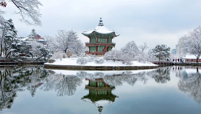 Best Winter Vacation Spots in South Korea