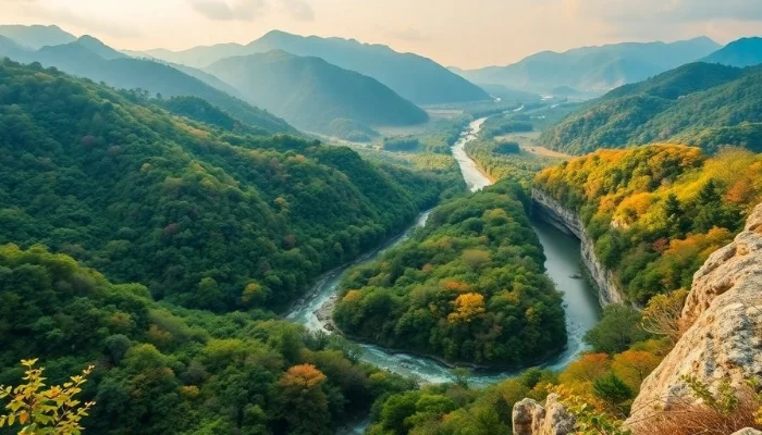 Lush mountains and forests in South Koreas adventure landscape